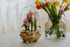 Szklane terrarium, Jajko W-527A+W-527 b. otwór