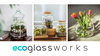 Szklane terrarium W-591A + korek H:30cm D:31cm