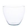 Szklana doniczka W-439 H:12cm D:14,5cm