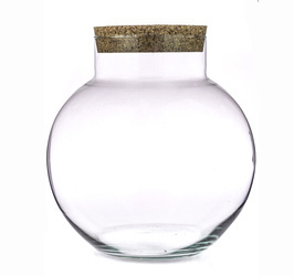 Szklane terrarium W-503A1+korek H:25,5cm D:25cm