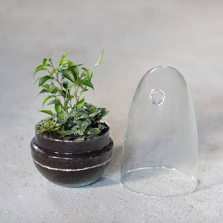 Szklane terrarium jajko ogród w szkle W-542A+W-542 boczny otwór H:25cm D:12,5cm