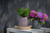 Szklany słój H:17cm D:14,5cm WM-C001 LOFTI  granit