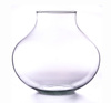 Szklane terrarium W-591A  H:28cm D:31cm