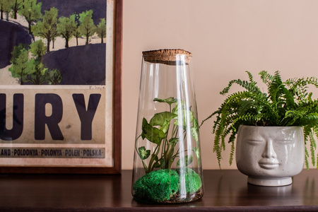 Szklane terrarium W-667 H:30cm D:16cm + kora lita