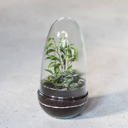 Szklane terrarium jajko ogród w szkle W-542A+W-542 boczny otwór H:25cm D:12,5cm