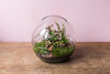 Szklane terrarium kula las w szkle M W-610+W-611 H:19,5cm