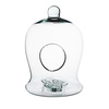Szklane terrarium dzwonek W-638  H:25 cm D:17cm