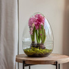 Szklane terrarium jajko W-694+W-694/I H:26,5cm D:19,8cm OUTLET