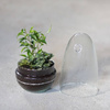 Szklane terrarium jajko ogród w szkle W-542A+W-542 boczny otwór H:25cm D:12,5cm SALE
