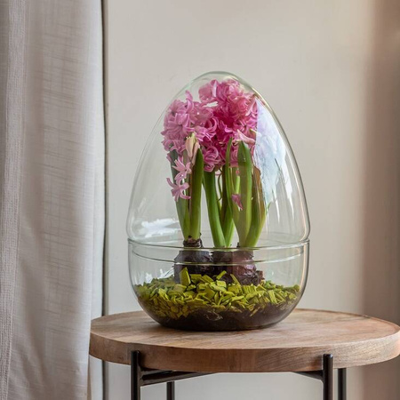 Szklane terrarium jajko W-694+W-694/I H:26,5cm D:19,8cm OUTLET
